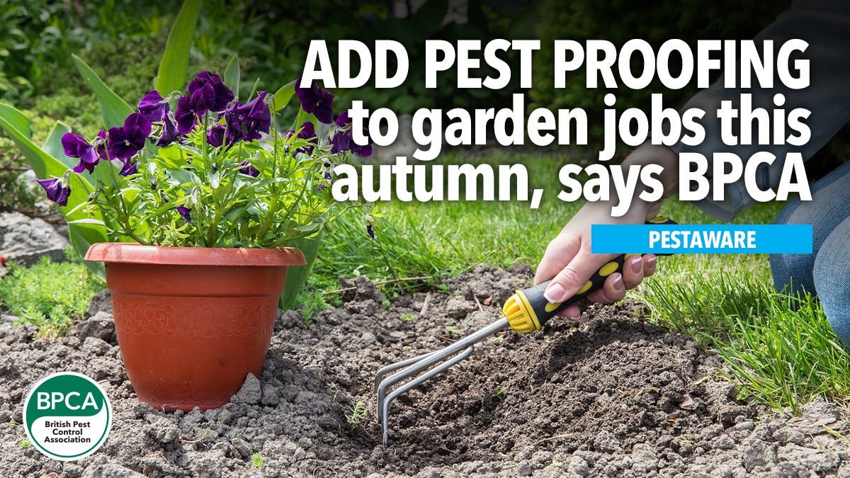 add-pest-proofing-to-garden-jobs-autumn-hero add-pest-proofing-to-garden-jobs-autumn-hero